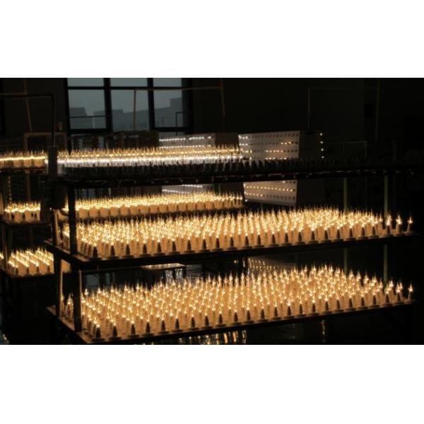 E14 Led Candle Bulb Dimmable AC220V