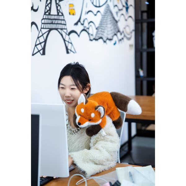 Soft Toys Look Like A Dog, Stuffed Animals Your Own Custom Plush Toy Character Plushie