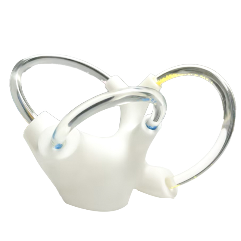 Balance Cochlea Inner Ear Cranial Nerve Rehabilitation Anatomical Function Didactic Demonstration Semicircular Canal