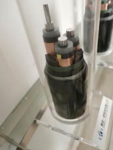 Wholesale Copper Conductor PVC Layer 25mm2 XLPE Insulated Cable from china suppliers