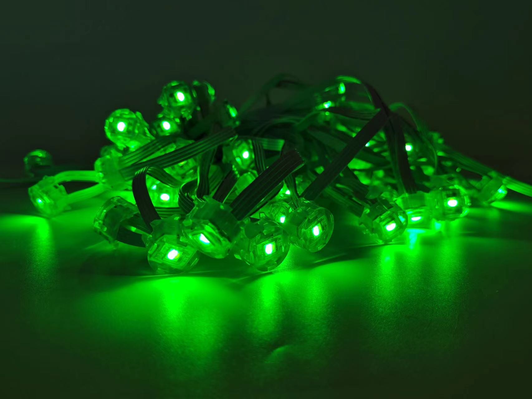 Christmas Outdoor Holiday Lighting SMD5050 LED DC12V 20MMM Light for House eave light Decoration