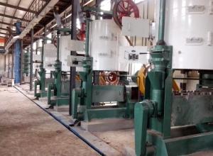 Wholesale Large Scale Soybean Edible Oil Press Machine Cold Pressed Mustard Oil Machine from china suppliers