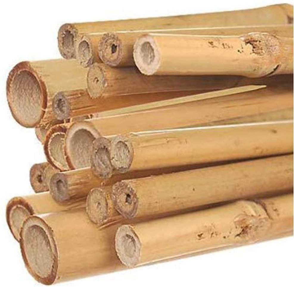 7ft Bamboo Plant Support Sticks