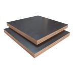 Outdoor Use 18mm 21mm Eucalyptus Film Faced Birch Plywood