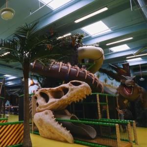 Wholesale Creating Immersive Forest Dinosaur Themed Indoor Children's Playground Didi Amusement Equipment Manufacturer from china suppliers