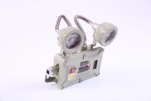 Wholesale Industrial 2*3Watt 220VAC 24/36VDC Flameproof Emergency Lighting from china suppliers