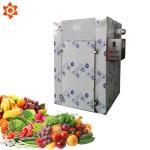 380V Automatic Food Processing Machines , Stainless Steel Food Dehydrator