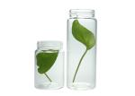 50ml 100ml 200ml Glass Vial High Borosilicate Screw Mouth Bottle