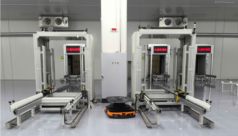 Cold Storage Warehouse ASRS