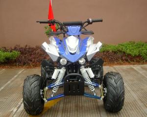 Wholesale Front / Rear Disc Brake Four Wheelers For Adults , 110cc Four Wheeler Electric Start from china suppliers