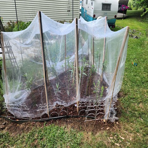HDPE Different Size Garden Netting 30-50 Mesh For Vegetables