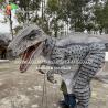 Buy cheap Wearable Velociraptor Animatronic Dinosaur Costume: Lifelike Performance from wholesalers