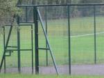 Metal Welded Wire Fence Panels Powder Coating For Sports Ground Leisure Center