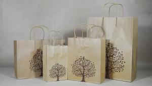 Wholesale Brown Kraft Paper Gift Bags Wholesale Full Size Custom Retail Merchandise Carrier Gift Shopping Bag from china suppliers