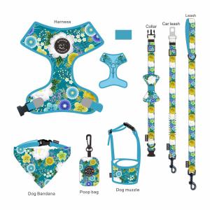 Wholesale No Neck Injuries Leather Dog Harness Set Customizable Fit Resist Fraying from china suppliers