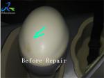 Repair GE RAB4 8 D For Oil Leaking
