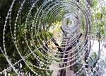Galvanized Or PVC Coated Blade Razor Barbed Wire , Concertina Barbed Wire