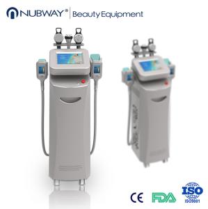 Wholesale innovative new products:weight loss equipment cryolipolisis slimming machine from china suppliers