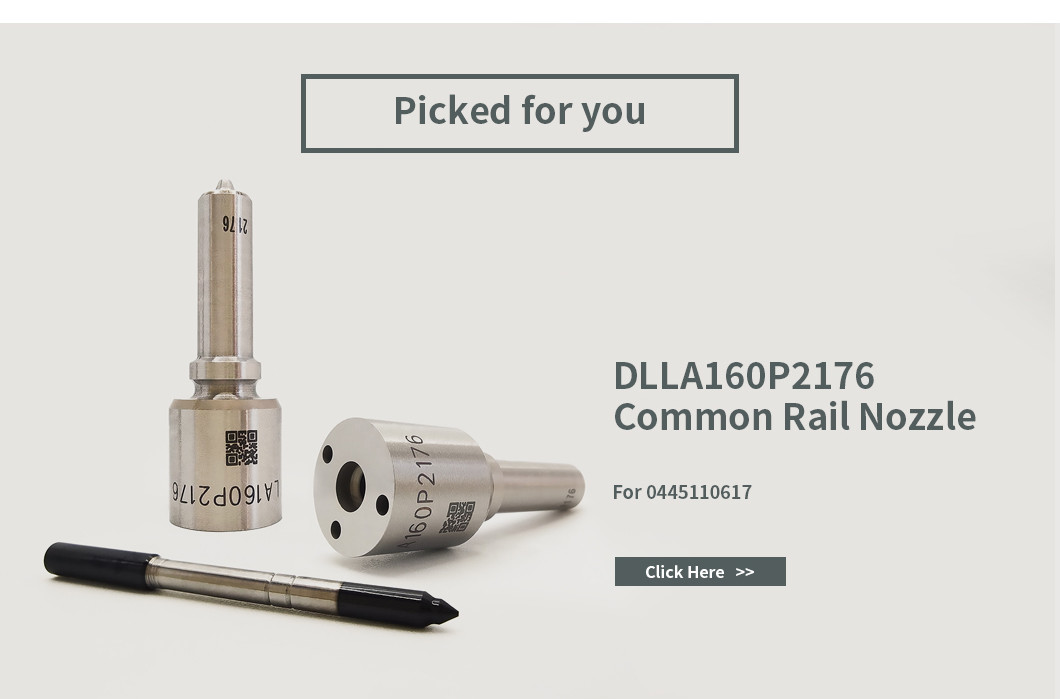 0445110616 Bosch Injector Repair Kit