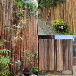 Natural Bamboo Material Painted Bamboo Fence Panels Rolled Bamboo Fence Privacy