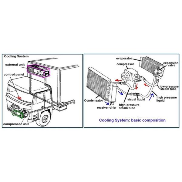 I Suzu Giga Thermo King Freezer Refrigerated Refrigerator Refrigerated Van with Hydraulic Gate