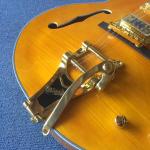 New style high-quality hollow body jazz electric guitar, Double F holes,Tremolo