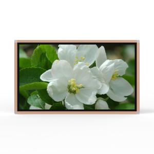 Wholesale 55 Inch Infrared Touch Screen Wall Mounted Advertising Screen 1080P Resolution from china suppliers