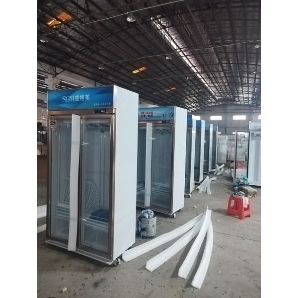 Custom Upright Display Refrigerator Frost Free Two Glass Door Refrigerator cooling