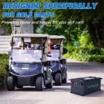 12S1P 16S1P Lifepo4 Electric Golf Cart Lithium Battery 5 Years Warranty