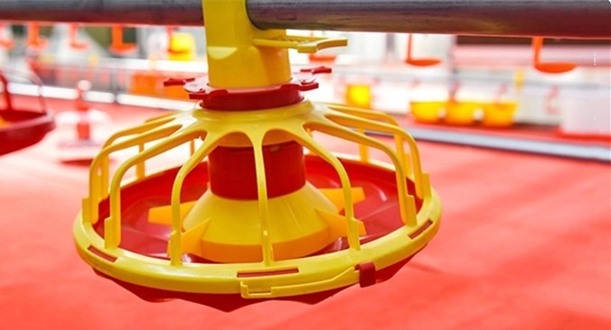 14 Grids 72mm Ground Broiler Chicken Shed Construction