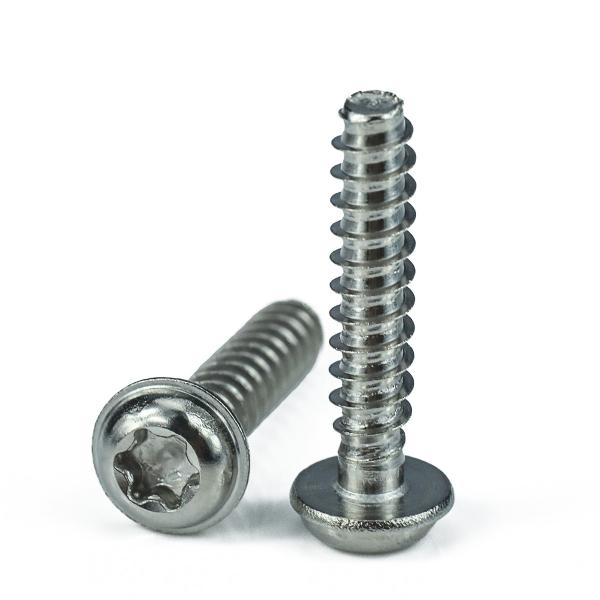 Non-standard Torx Drive Pan Head PT Thread Forming Stainless Steel WN5451 PT