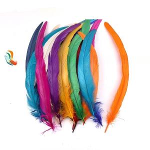 Wholesale 8-10 Inch Dyed Rooster Long Tail Feathers For DIY Hair Accessories And Costumes from china suppliers