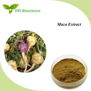 Wholesale Natural Maca Root Extract Powder Supplyment Lepidium Meyenii Walp Extract from china suppliers