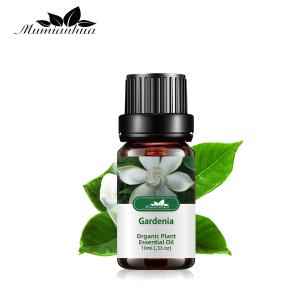 Wholesale 10ml Pure Gardenia Essential Oil Diffuser Steam Distillation For Candles from china suppliers