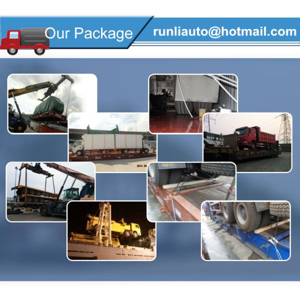 Folding Arm Cargo Mounted Crane SQZ300 SINOTRUK HOWO 6x4 Truck With Crane 12 Ton