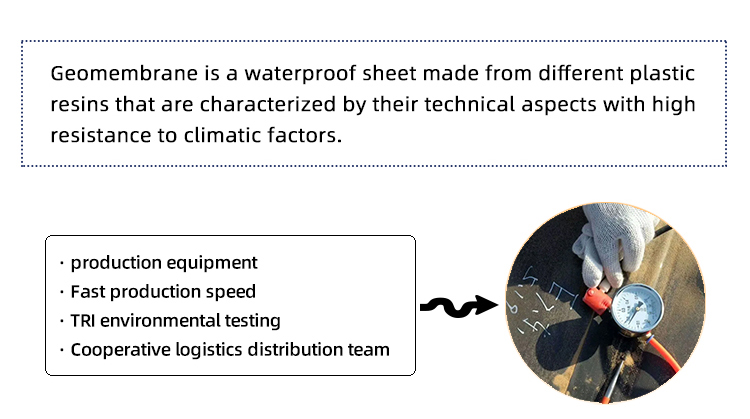 0.2mm Black Plastic Anti-Seepage Geomembrane with CE/ISO9001/ISO14001 Certifications