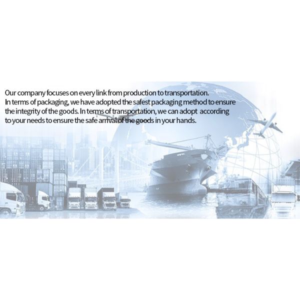 Luxury Style Top Quality Black Color Bright Painting Side Glass Fixed Panel Front Pivot Door with Stainless Steel Handle