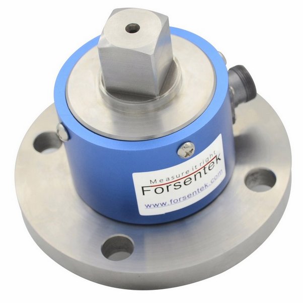 torque measurement device