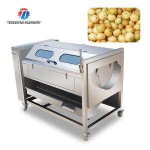 Wholesale Brush Potato Washing And Peeling Machine SS Commercial Vegetable Sealing Cover Type from china suppliers