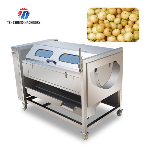 Brush Potato Washing And Peeling Machine SS Commercial Vegetable Sealing Cover