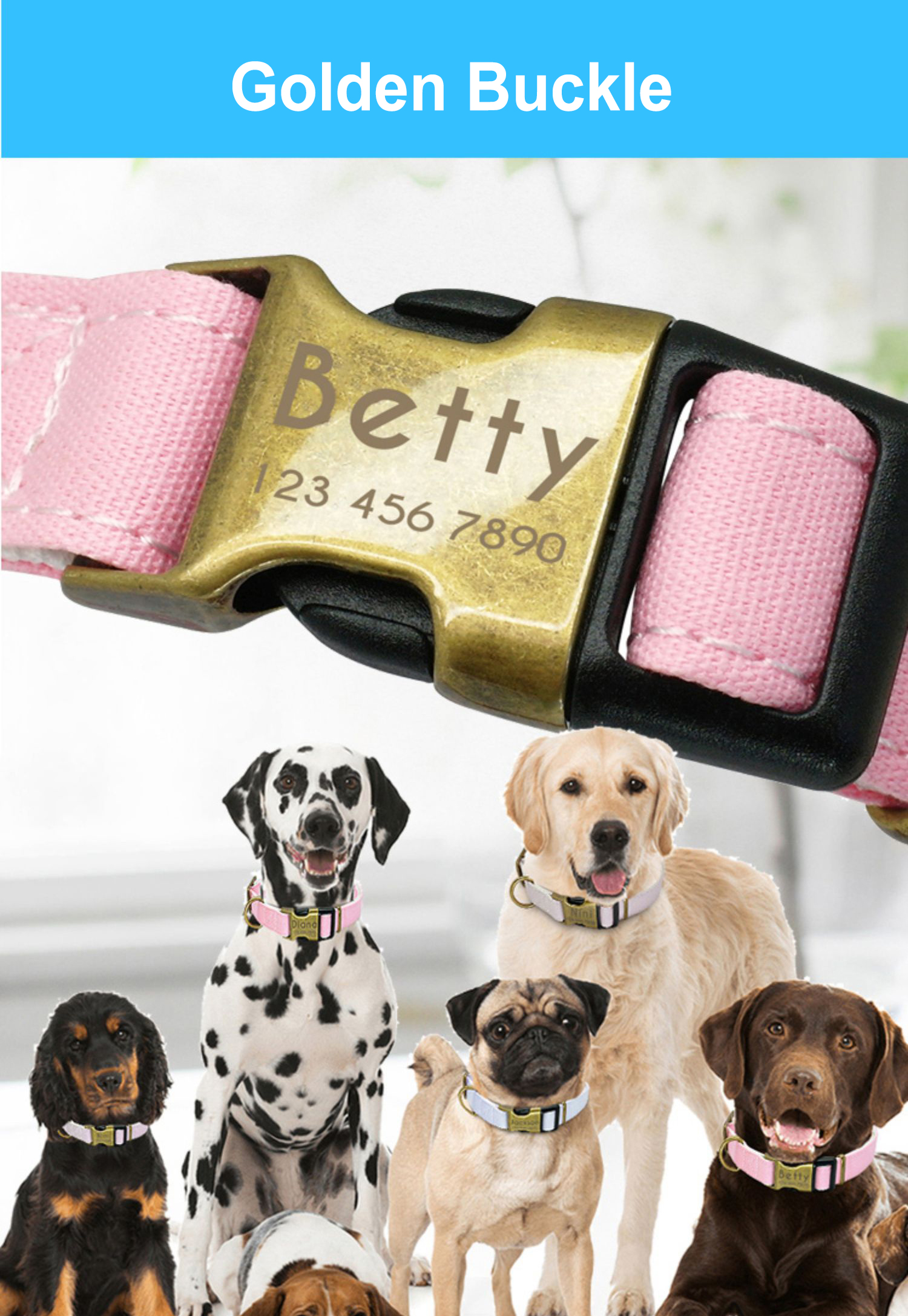 No Minimum Order Personalized Pet Collars Beautiful Pattern Sport Dog Collar