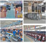 Wind Cooled Petrol Three Wheeler 250cc Gasoline Tricycle