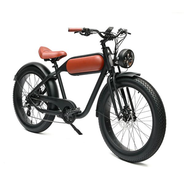 Rear Hub Motor Vintage Electric Bike Adult Fat TIire E-Bike with Combo Set