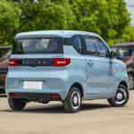 E100 E300 Ev Electric Car