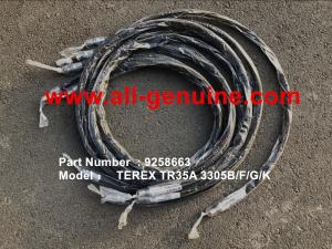 Wholesale TEREX 09258663 HOSE NHL MINING DUMP TRUCK TR35 TR50 TR60 TR100 3305B 3305F 3303 3307 TR45 TR70 MT4400 from china suppliers