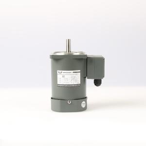 Wholesale 50 60Hz Single Phase Asynchronous Motor 22Nm from china suppliers