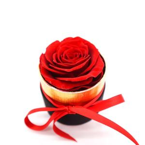 Wholesale Forever Eternal Preserved Rose Gift Box For Celebration / Wedding from china suppliers