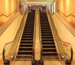 35 Degree 1000mm Step Electric Escalator Stainless Steel Grocery Cart Escalator