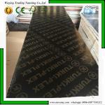 Eucalyputs Core Phenolic 12mm Phenolic Faced Birch Plywood