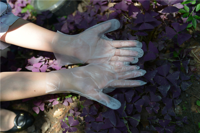 Latex Protein Free Disposable TPE Gloves 28*22CM For Food Handling